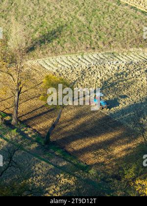 Tracteur rampé labourer le sol aride sec sur la colline de la vallée d'Arda, en Italie, pour semer le blé pendant la saison d'automne en novembre Banque D'Images