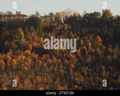 Paysage coloré, arbres rouges dorés dans le parc, saison d'automne de la vallée d'Arda, Italie, Piacenza, Emilie Romagne Banque D'Images