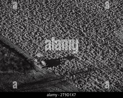 Tracteur rampé labourer le sol aride sec sur la colline de la vallée d'Arda, en Italie, pour semer le blé pendant la saison d'automne en novembre Banque D'Images