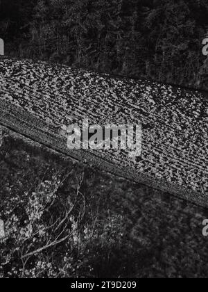 Tracteur rampé labourer le sol aride sec sur la colline de la vallée d'Arda, en Italie, pour semer le blé pendant la saison d'automne en novembre Banque D'Images