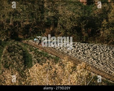 Tracteur rampé labourer le sol aride sec sur la colline de la vallée d'Arda, en Italie, pour semer le blé pendant la saison d'automne en novembre Banque D'Images