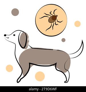 Une tique encéphalitique a mordu un chien. Illustration vectorielle isolée sur fond blanc Illustration de Vecteur