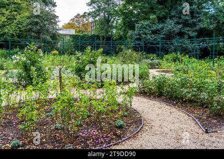 Les jardins d'Iveagh conçus au milieu du 19e siècle par Ninian Niven, Dublin, Irlande Banque D'Images