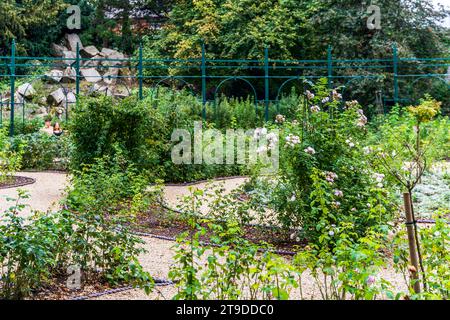 Les jardins d'Iveagh conçus au milieu du 19e siècle par Ninian Niven, Dublin, Irlande Banque D'Images