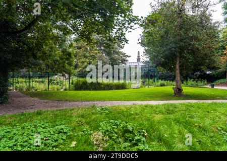 Les jardins d'Iveagh conçus au milieu du 19e siècle par Ninian Niven, Dublin, Irlande Banque D'Images