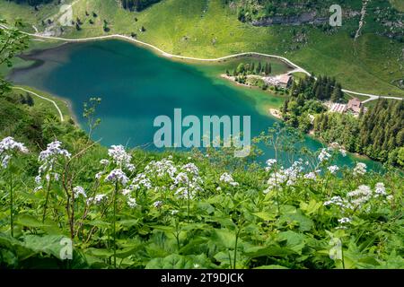 Magnifique randonnée dans les montagnes Alpstein de Wasserauen à Meglisalp en Appenzellerland Suisse Banque D'Images