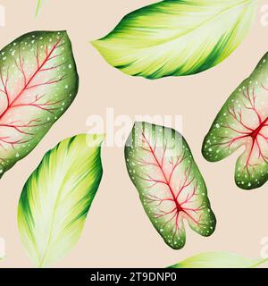 Motif sans couture aquarelle avec des feuilles tropicales réalistes. Illustration de monstera, caladium , feuilles de ficus isolées sur fond blanc. Belle bo Banque D'Images