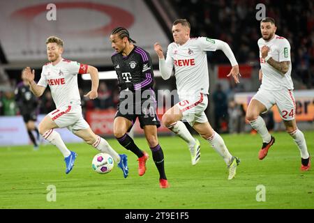 Cologne, Allemagne. 24 novembre 2023. Leroy Sane (2e L) du Bayern Munich franchit le cap lors du match de 12e tour de première division de Bundesliga entre le FC Cologne et le Bayern Munich à Cologne, Allemagne, le 24 novembre 2023. Crédit : Ulrich Hufnagel/Xinhua/Alamy Live News Banque D'Images