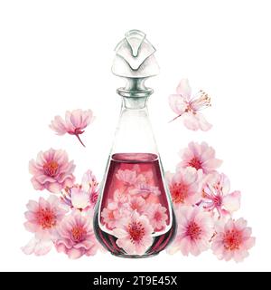 Aquarelle rose cerises fleuries avec bouteilles en verre, parfum, pour mariage, anniversaire, décoration de Saint-Valentin. Illustration pour carte postale, bordure, Banque D'Images