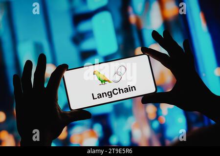 Brésil. 24 novembre 2023. Sur cette photo, le logo LangChain est affiché sur l'écran d'un smartphone. Crédit : SOPA Images Limited/Alamy Live News Banque D'Images