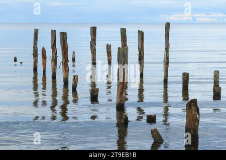 Un beau cliché d'un paysage de mer calme avec des poteaux de jetée cassés sortant de l'eau sur le fond d'horizon. Banque D'Images
