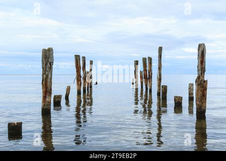 Un beau cliché d'un paysage de mer calme avec des poteaux de jetée cassés sortant de l'eau sur le fond d'horizon. Banque D'Images