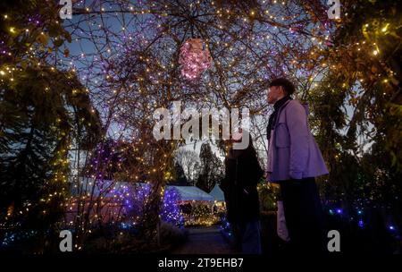 Vancouver, Canada. 24 novembre 2023. Les gens voient les lumières installées au jardin botanique VanDusen à Vancouver, Colombie-Britannique, Canada, le 24 novembre 2023. Le « Festival des Lumières » a débuté ici à Vancouver vendredi soir. Crédit : Liang Sen/Xinhua/Alamy Live News Banque D'Images