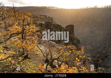 Blick von der Rosstrappe in das Bodetal im Harz BEI Thale, Sachsen-Anhalt, Deutschland | vue de la Rosstrappe aux gorges de Bode au Harz Moun Banque D'Images