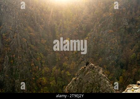 Blick von der Rosstrappe in das Bodetal im Harz BEI Thale, Sachsen-Anhalt, Deutschland | vue de la Rosstrappe aux gorges de Bode au Harz Moun Banque D'Images