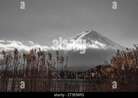 Mt. Fuji (Fuji-San) est le plus haut sommet à 3 776 m du Japon, à environ 100 kilomètres au sud-ouest de Tokyo et objet d'art emblématique de la période Edo Banque D'Images