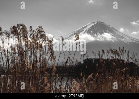 Mt. Fuji (Fuji-San) est le plus haut sommet à 3 776 m du Japon, à environ 100 kilomètres au sud-ouest de Tokyo et objet d'art emblématique de la période Edo Banque D'Images