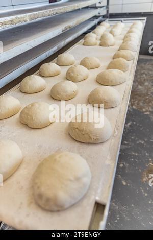 Convoyeur industriel pour la fabrication de pain en boulangerie. Boule de pâte à pain crue Banque D'Images