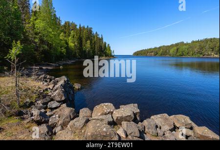 Île Valaam, côte rocheuse et pins qui poussent dessus Banque D'Images