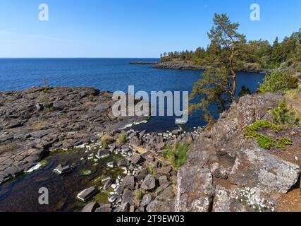 Île Valaam, eau claire du lac, rivage rocheux et pins qui poussent dessus Banque D'Images