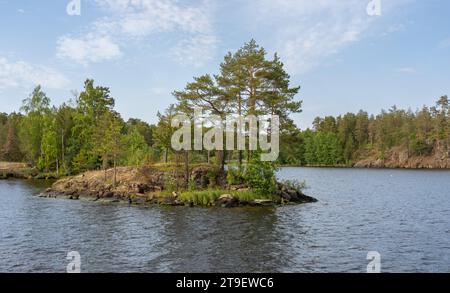 Belles îles avec des pins qui poussent sur eux près de l'île de Valaam dans le lac Ladoga Banque D'Images