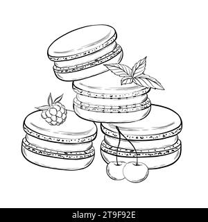 Macarons à la menthe et aux baies. Illustration vectorielle. Style graphique. dessiné à la main dans un style minimaliste simple. Peut être utilisé pour la cuisine, les notes, le livre de cuisine Illustration de Vecteur