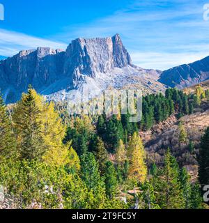 Chaîne de montagnes rocheuses avec des forêts de mélèze doré en dessous dans les Dolomites d'Ampezzo, Italie. Banque D'Images