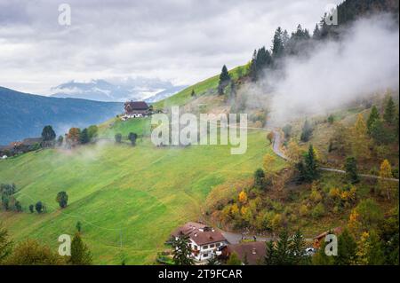 Belle vue d'automne d'une prairie alpine et forêt dans le Tyrol du Sud Banque D'Images