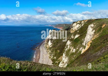 Branscombe ; Hooken Cliffs ; Devon ; Royaume-Uni Banque D'Images