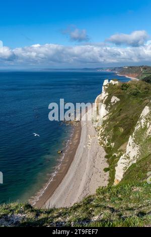 Branscombe ; Hooken Cliffs ; Devon ; Royaume-Uni Banque D'Images