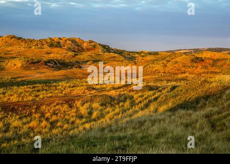 Braunton Burrows ; près de Crow point ; Devon ; Royaume-Uni Banque D'Images