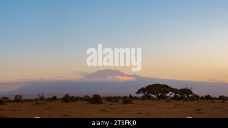 Panorama du parc national Amboseli Amboseli devant le Kilimandjaro enneigé. Kenya, Afrique. Octobre 2022 Banque D'Images