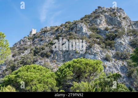 Paysage avec ruine de la tour Castelmarino sur une colline rocheuse escarpée à la tourbière sur le rivage, tourné dans la lumière brillante tôt d'automne près de Marina di Alberese, Toscane, Ital Banque D'Images