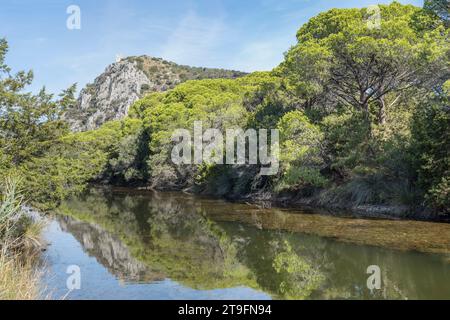 Paysage avec la ruine de la tour Castelmarino se profilant au-dessus de la végétation luxuriante sur la rive du canal à la tourbière sur le rivage, tourné dans la lumière brillante de début d'automne près de Marina di Banque D'Images