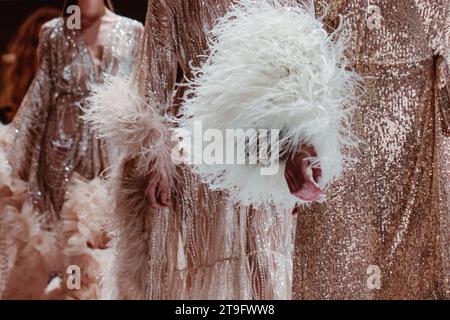 Boudoir doré habille les tenues avec des plumes blanches. Détails mode Banque D'Images