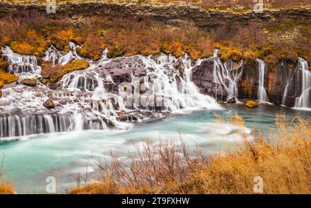 La cascade de Hraunfossar en automne, est une série de cascades formées par des rivulettes qui coulent sur une distance d'environ 900 mètres en Islande, une visite incontournable. Banque D'Images