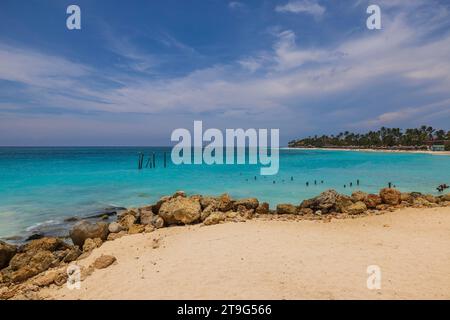 Belle vue sur les eaux turquoises de la mer des Caraïbes avec des plages de sable fin sur l'île d'Aruba. Banque D'Images