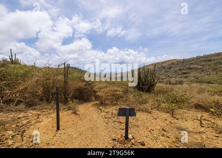 vue panoramique de paysage désertique dans le parc national Arikok sur l'île d'Aruba. Banque D'Images