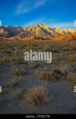 Incroyable Mt. Whitney et la chaîne de montagnes de la Sierra Nevada, Californie, États-Unis Banque D'Images