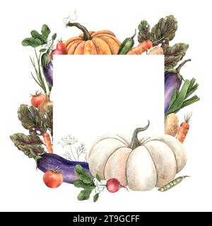 Cadre, planche, affiche de différents légumes : citrouille, radis, betteraves, oignons. Dessiné à la main à l'aquarelle. Utilisation dans la conception de livres de cuisine, menus Banque D'Images