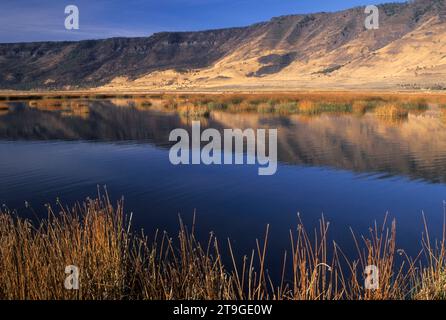 Ana River, Summer Lake Wildlife Area, Oregon Banque D'Images