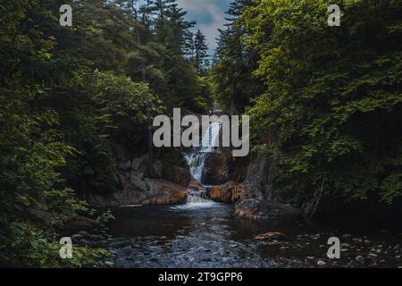 Cascade dans les bois - Smalls Falls, MOI Banque D'Images