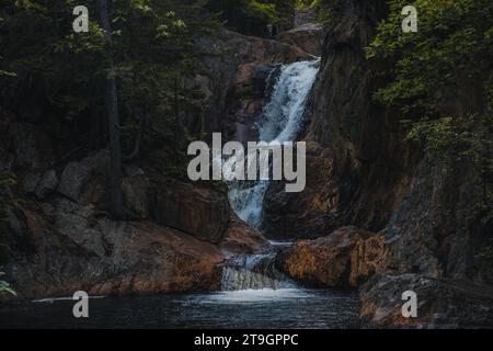 Cascade dans les bois - Smalls Falls, MOI Banque D'Images