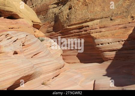 Entrée dans Pink Canyon - Valley of Fire State Park, Nevada Banque D'Images