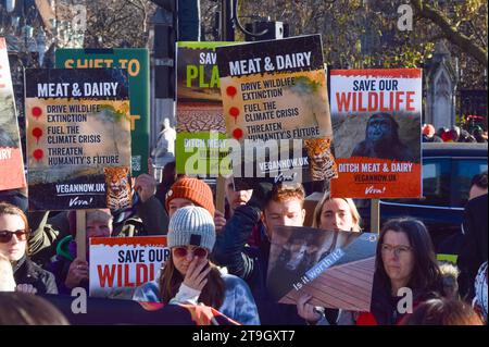 Londres, Royaume-Uni. 25 novembre 2023. Les militants ont organisé un rassemblement sur la place du Parlement avant la COP28 pour appeler le gouvernement à passer à un régime alimentaire à base de plantes dans le cadre de leurs engagements climatiques. Crédit : Vuk Valcic/Alamy Live News Banque D'Images