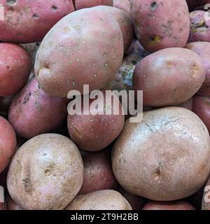 Fond de pommes de terre rouges ou roses vue de dessus. Banque D'Images