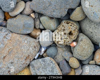 Coquillages mélangés parmi les roches colorées sur la côte du Pacifique à Bob Creek Wayside, Oregon, États-Unis Banque D'Images