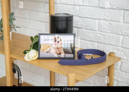 Cadre avec photo de chien, collier, urne mortuaire et fleur rose sur étagère en bois près du mur de briques claires. Funérailles pour animaux de compagnie Banque D'Images