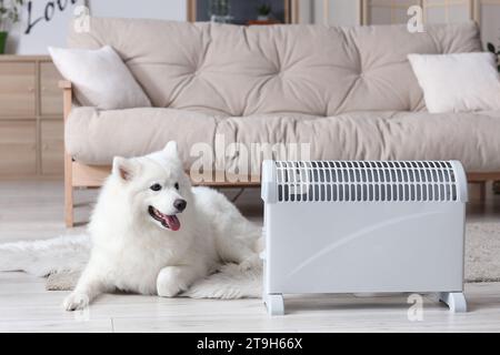 Mignon chien Samoyed couché près du radiateur à la maison Banque D'Images