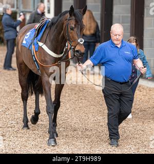 Troisième course à Wincanton le 30 mars 2022 Banque D'Images